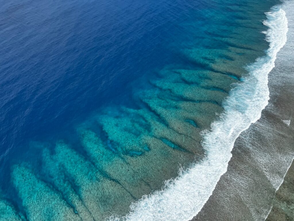 Modern Parallels - Are We Repeating History?