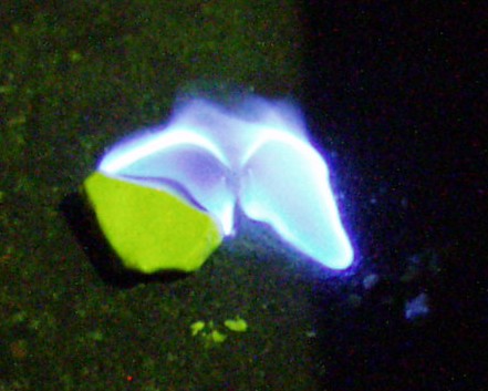 Chemical Composition of Sulfur Emissions (Image Credits: Wikimedia)