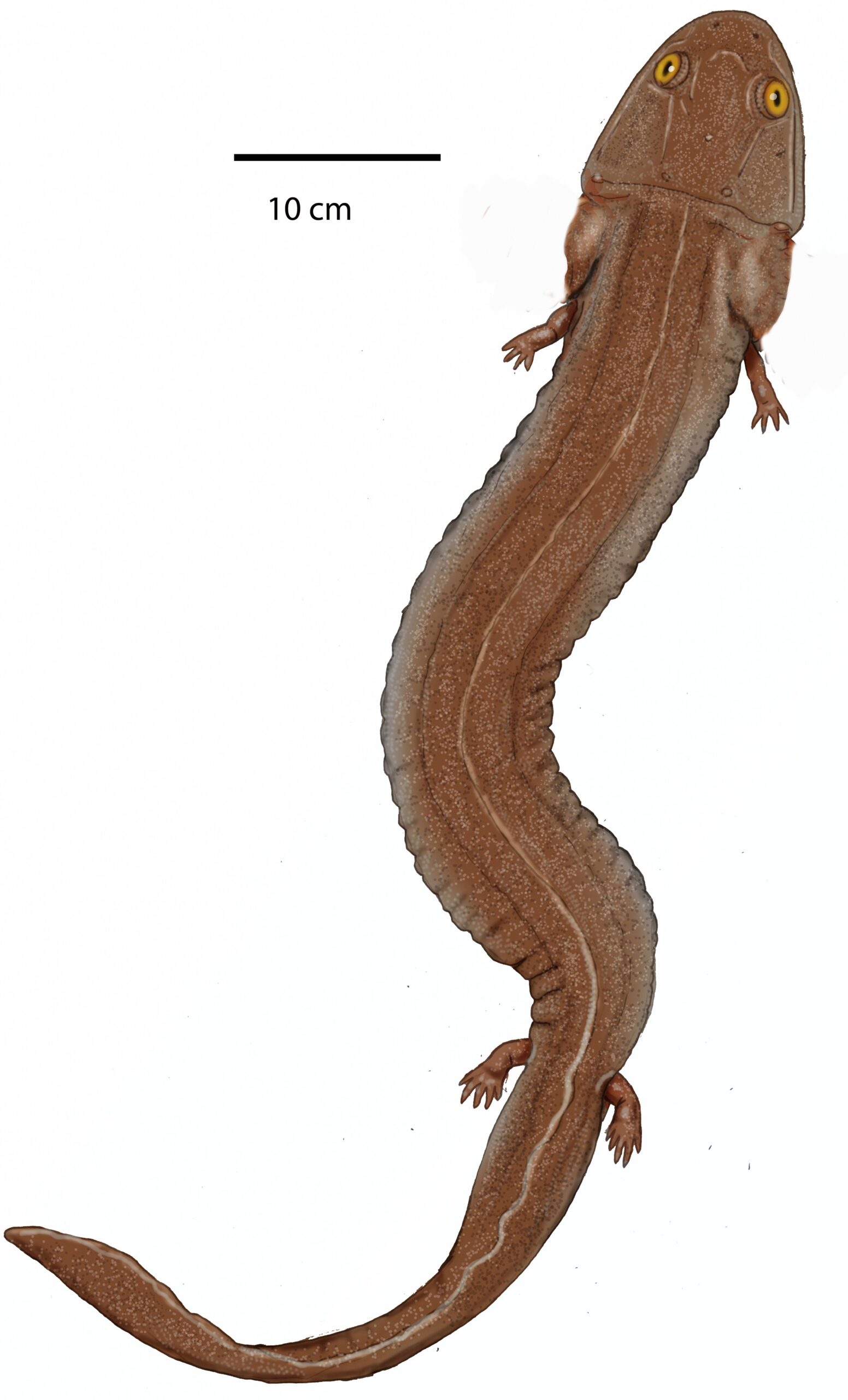 The Survivors Against All Odds (Image Credits: Wikimedia)