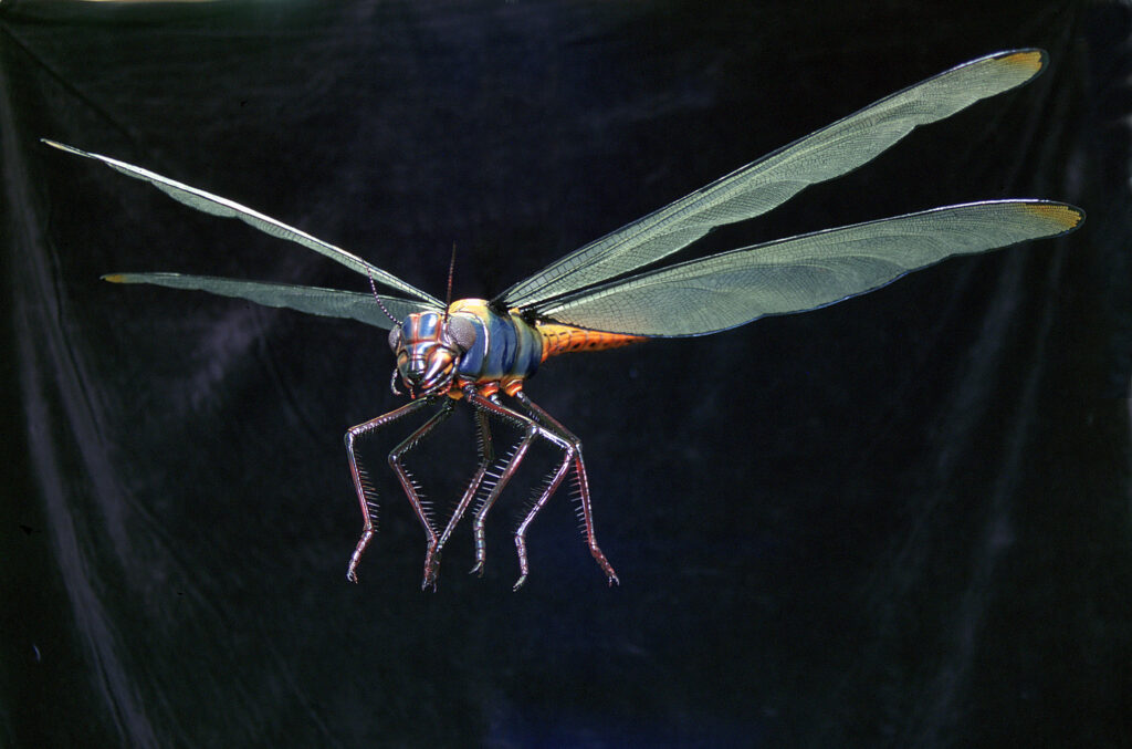 Meganeuropsis: The Record-Breaking Flying Giant 