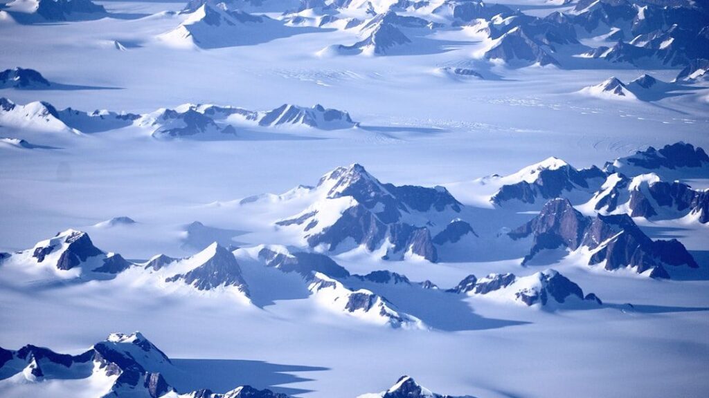 What Fossilized Forests Beneath Antarctica Tell Us About Climate Cycles