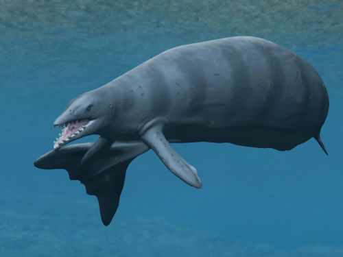 The Ancient Shark That Hunted the First Whales