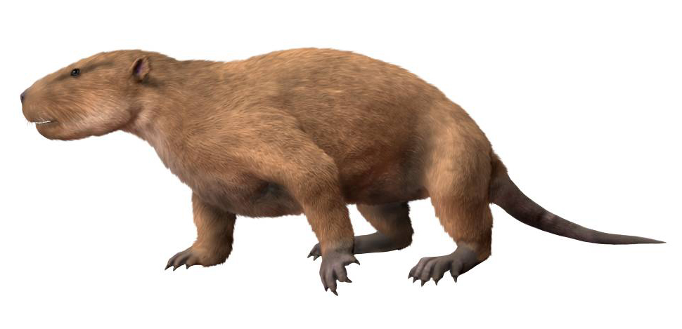 The Species That Outsmarted the Dinosaurs and Lived On