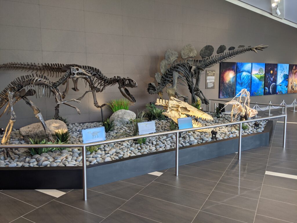 Top 10 Dinosaur Discoveries of 2024