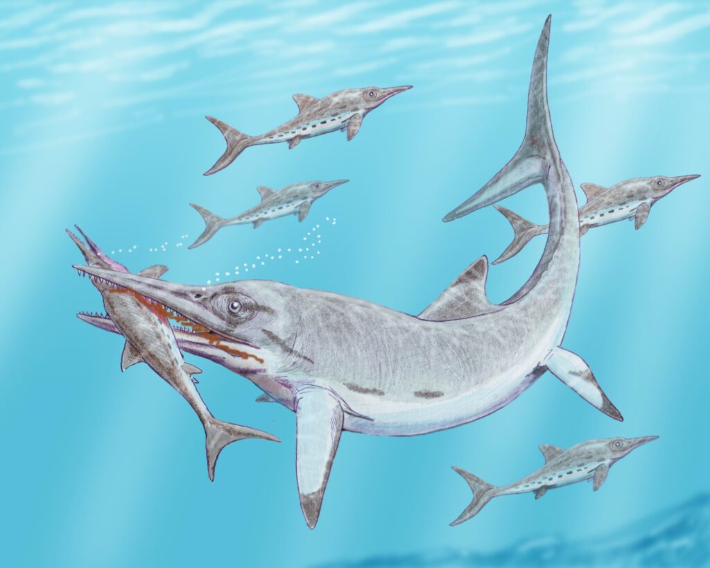 Ichthyosaurs were silent assassins of Jurassic seas