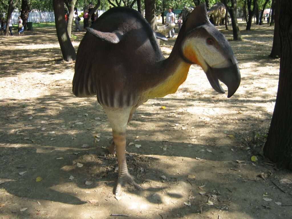 Meat-eating terror birds could grow up to 10 feet tall