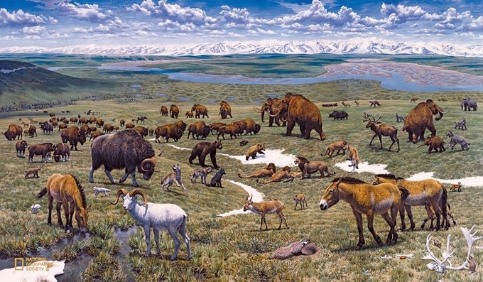 How Did the Ice Age Reshape Global Fauna?