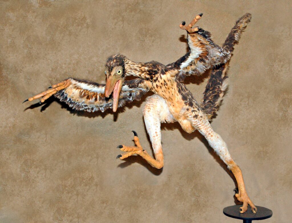 Are Modern Birds Truly Descendants of Dinosaurs?