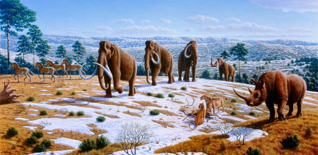Why Mammoths Vanished: Climate Change or Human Hunters?