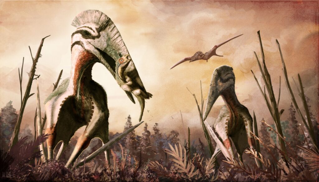 Raptor's Reign: The North American Hunters Who Dominated the Mesozoic Skies