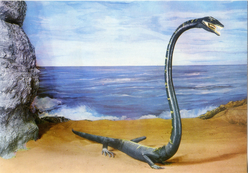 9 Ancient Sea Monsters That Ruled the Mesozoic Oceans