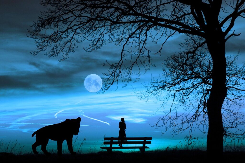 The Ultimate Guide to Understanding Your Moon Sign's Emotional Impact