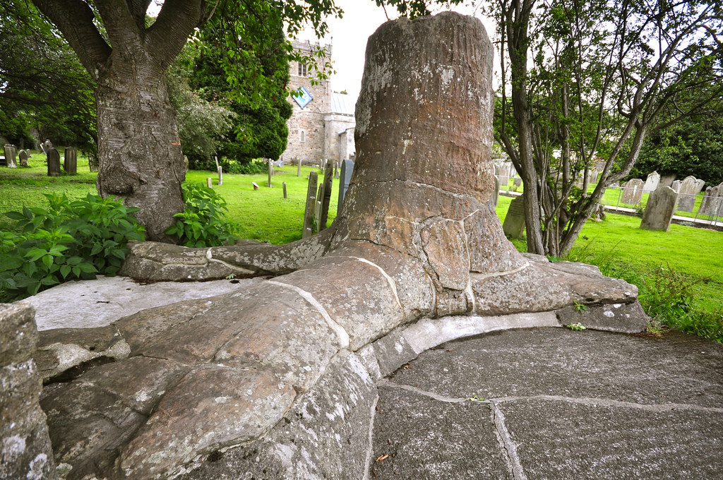 Resinous Giants and Their Aromatic Defenses