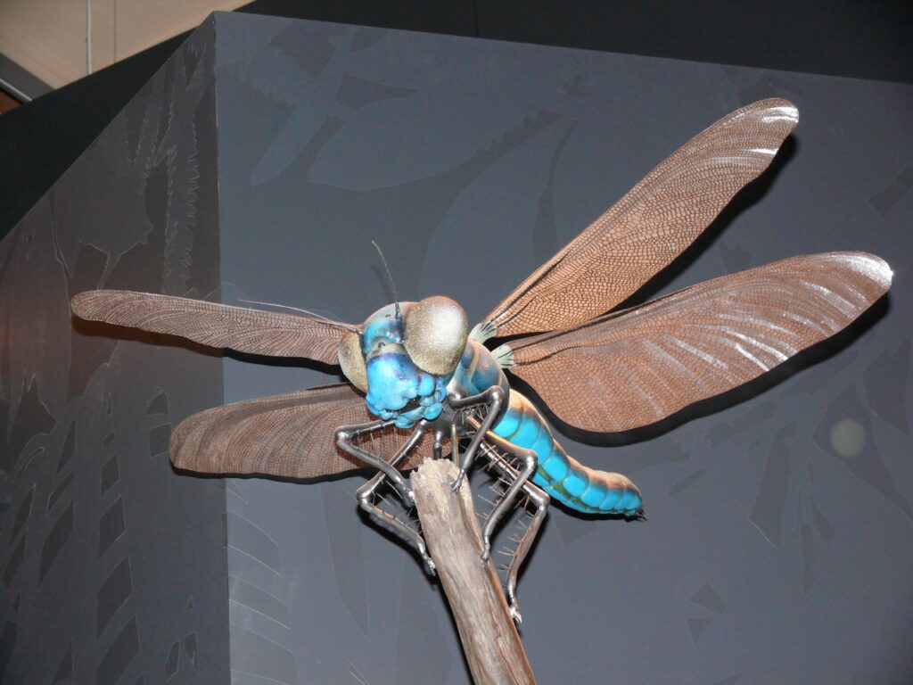 What Giant Dragonflies Reveal About Earth's Lost Atmosphere