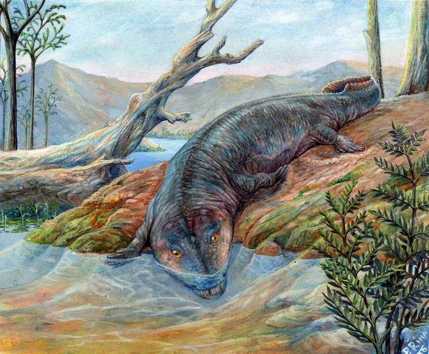 How Giant Amphibians Became Earth's First Apex Predators