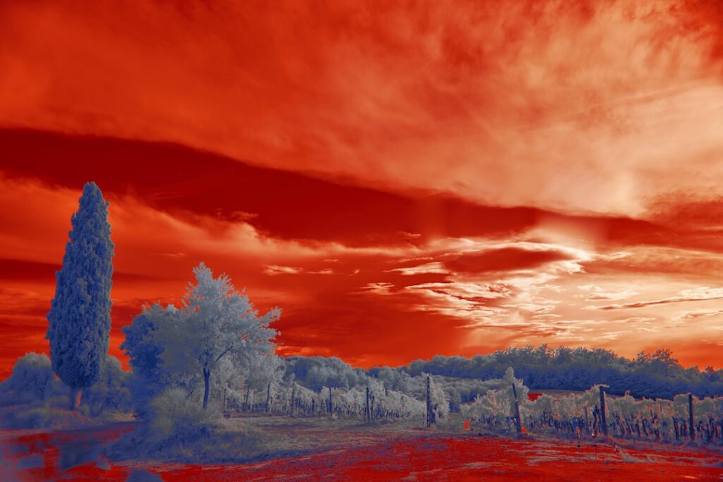 Why the Sky Turned Red After the Chicxulub Impact