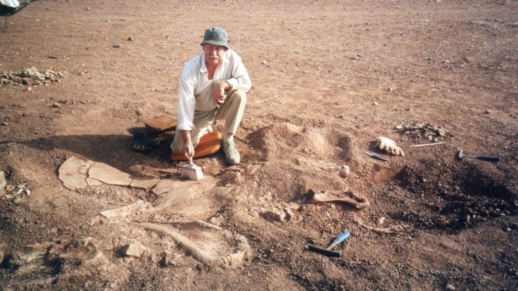 The Unseen Power: How Your Zodiac Sign Influences Your Inner Paleontologist