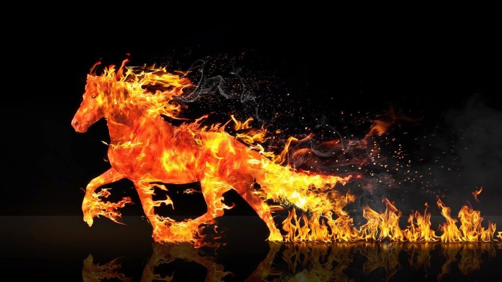 What 2026 As The Year of the Horse Means For Each Zodiac Sign