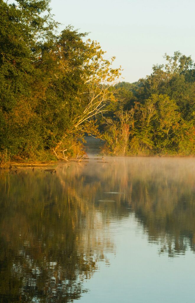How Alabama Power Has Left the ‘American Amazon’ at Risk