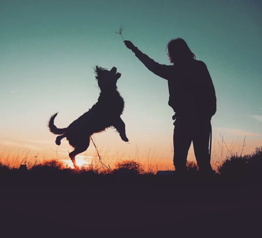 The Dog Breeds That Clash With Your Zodiac Sign's Personality