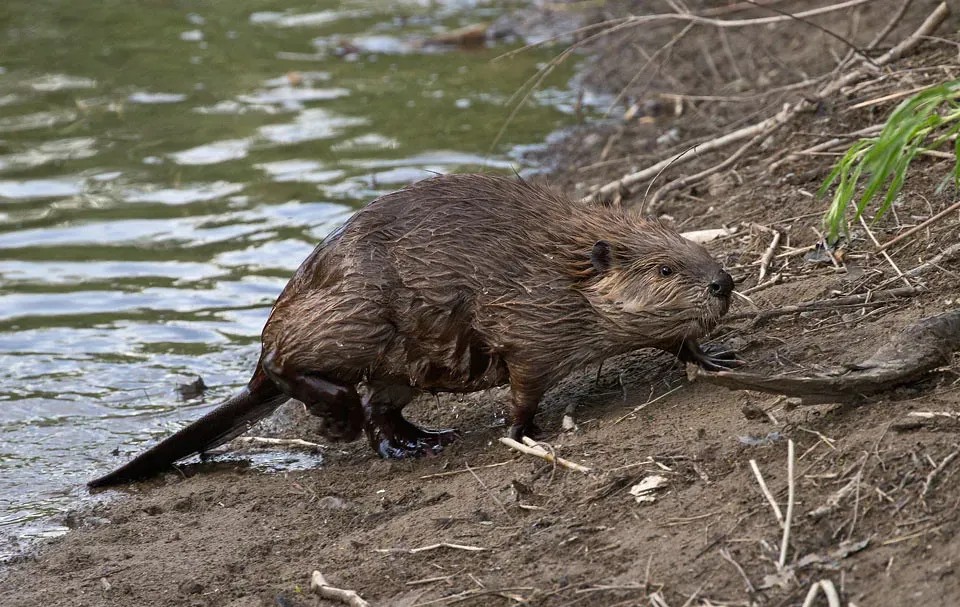 How Your Sign Influences Your Relationships 