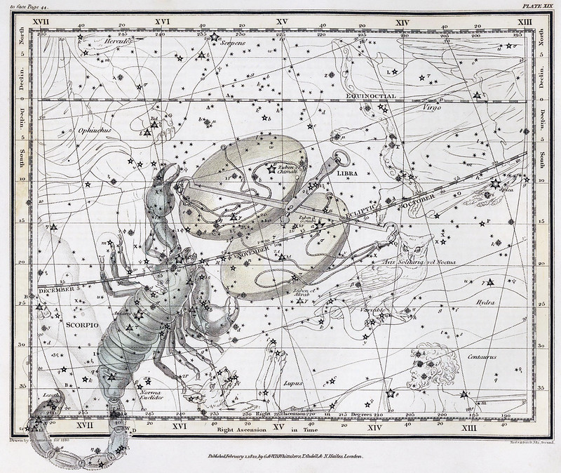 Air and Water Signs: Innovation Meets Intuition 