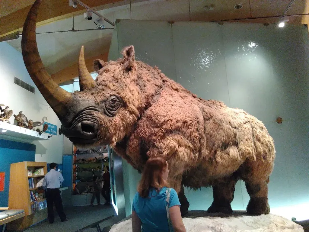 Woolly Rhino: The Forgotten Horned Beast of the Frozen Tundra