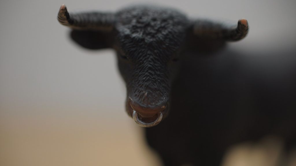 Which Spirit Animal Guides Your Zodiac Sign to Success?