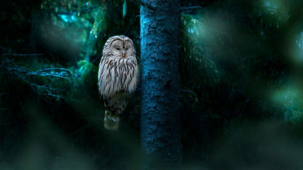 How Can Your Spirit Animal Guide You to Uncover Hidden Talents?