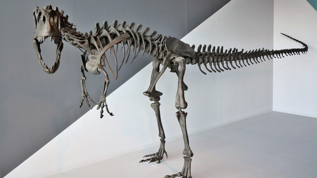 7 Astounding Dinosaur Discoveries That Changed Paleontology Forever