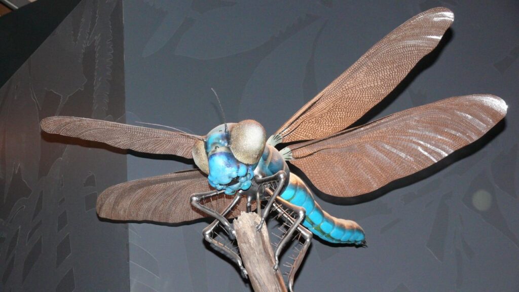 Did Giant Insects Once Roam Earth? The Truth About Prehistoric Bugs