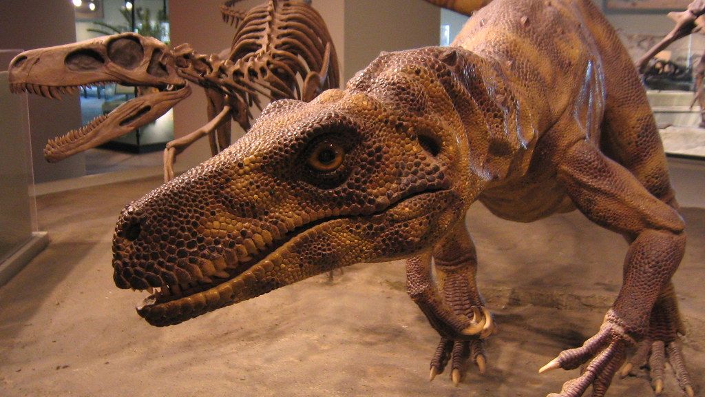 Dinosaurs Walked the Earth for Millions of Years Longer Than Humans