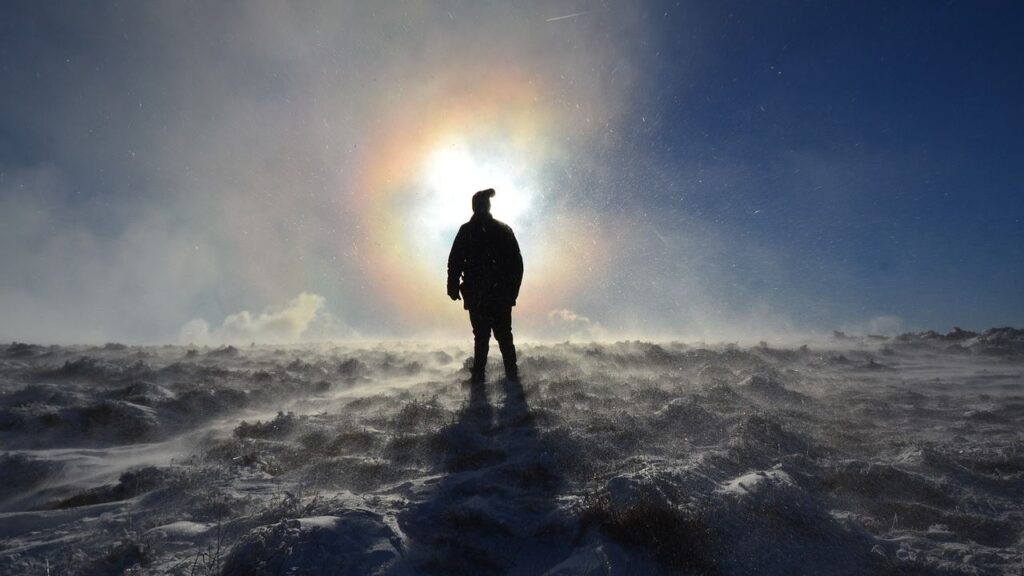 Which Natural Habitat Would You Live In According to Your Zodiac Sign