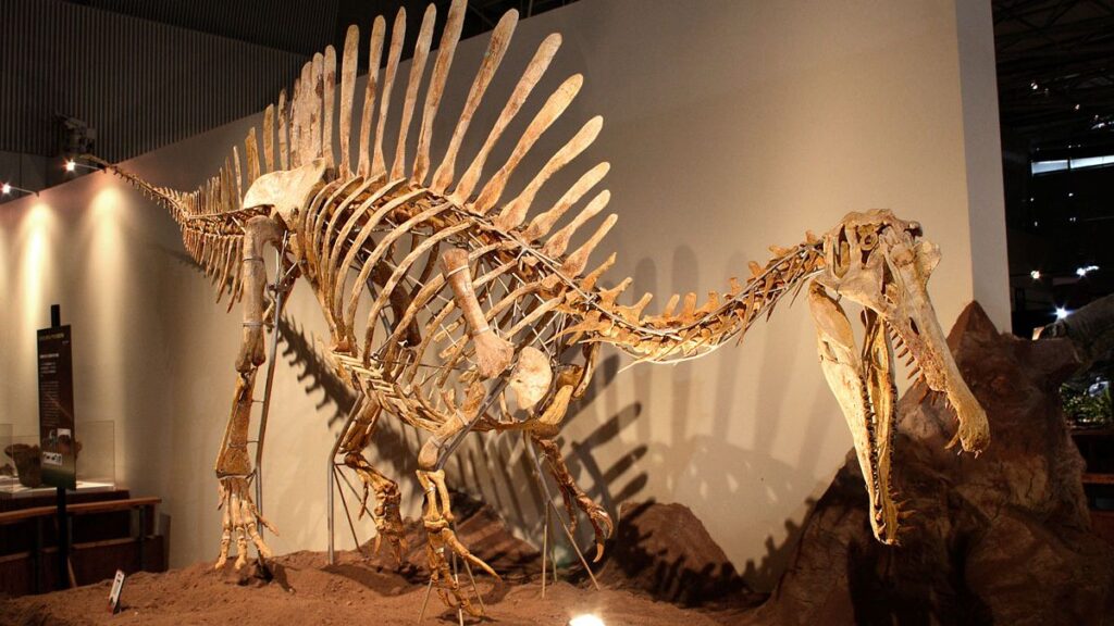 Could This Ancient Predator Be the True King of the Cretaceous?