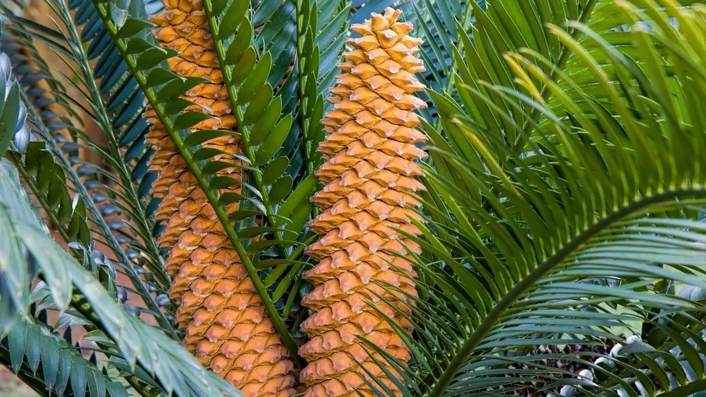 Certain Prehistoric Plants Were More Dangerous Than Any Predator