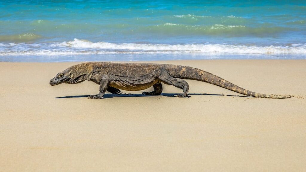 The Spirit of Ancient Beasts Lives On in Our Modern World