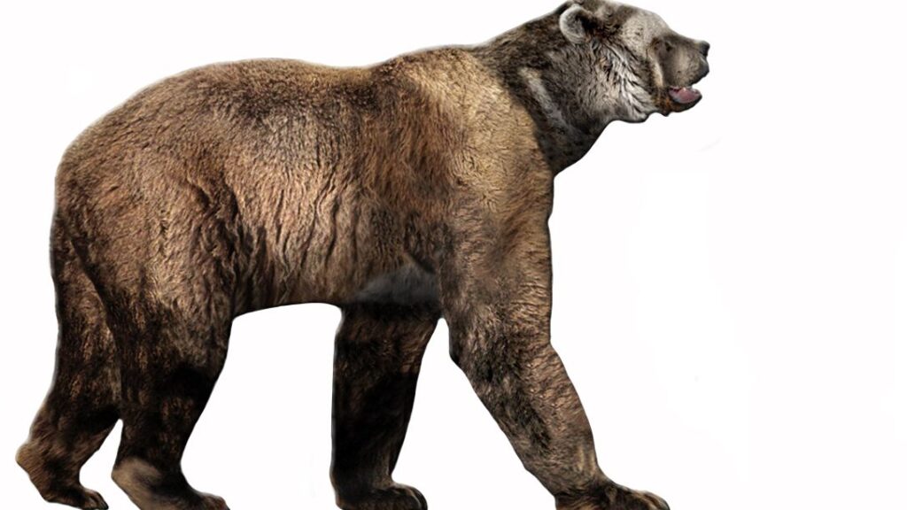 Prehistoric Beasts That Roamed America You've Never Heard Of