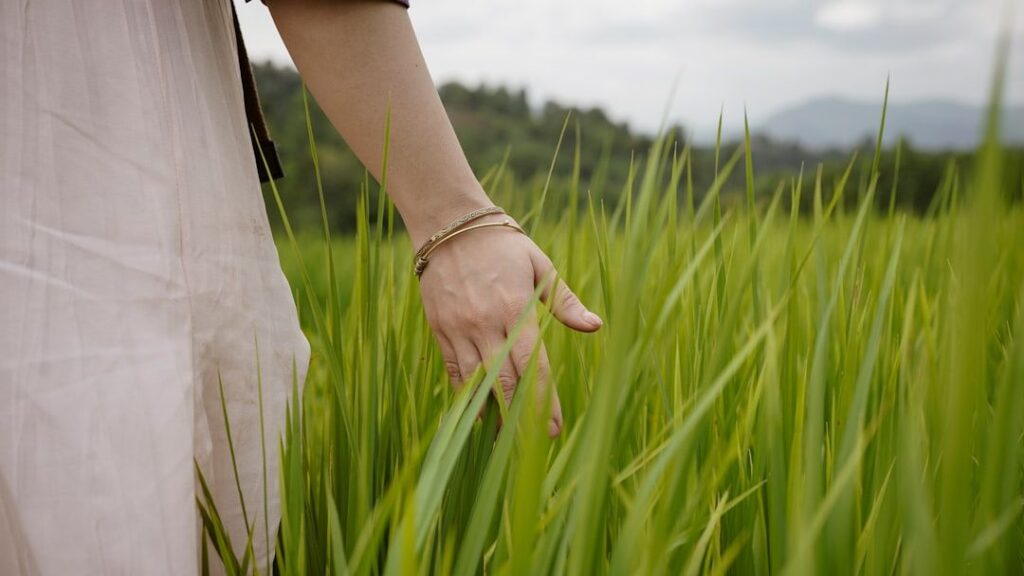 9 Signs You Have a Deep Connection to The Earth