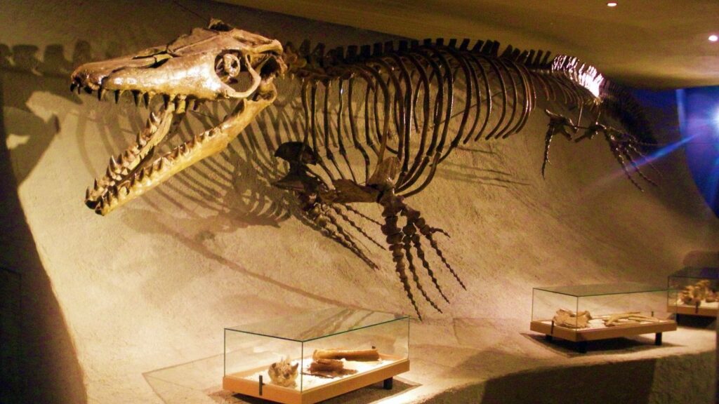 10 Mind-Blowing Facts About the Largest Prehistoric Predators