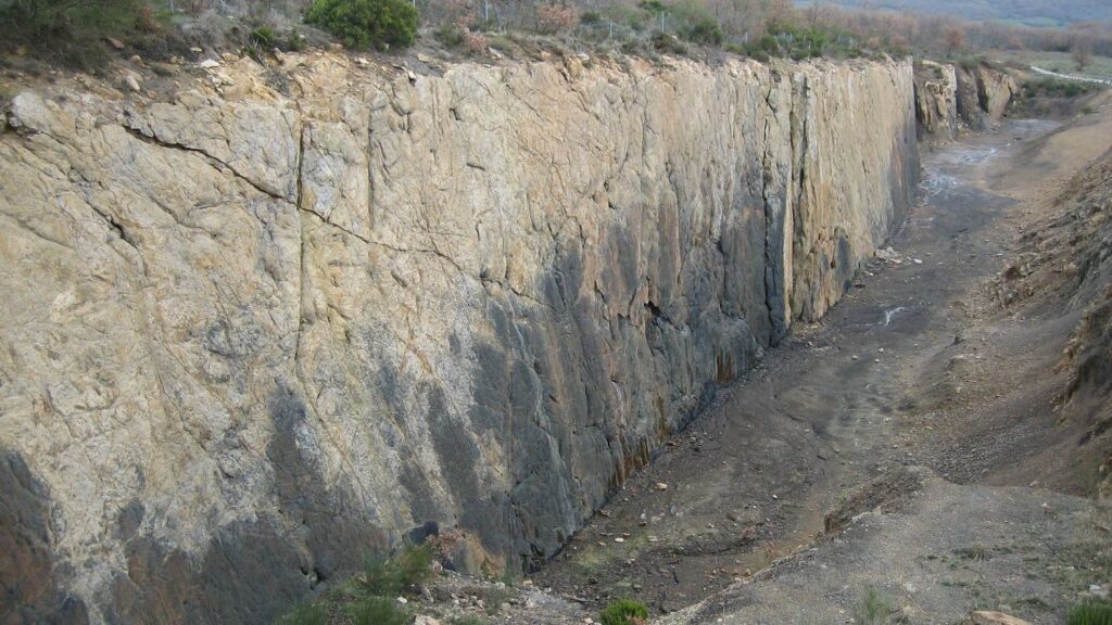 The Unseen Power of Ancient Megaflora That Shaped Earth's Past