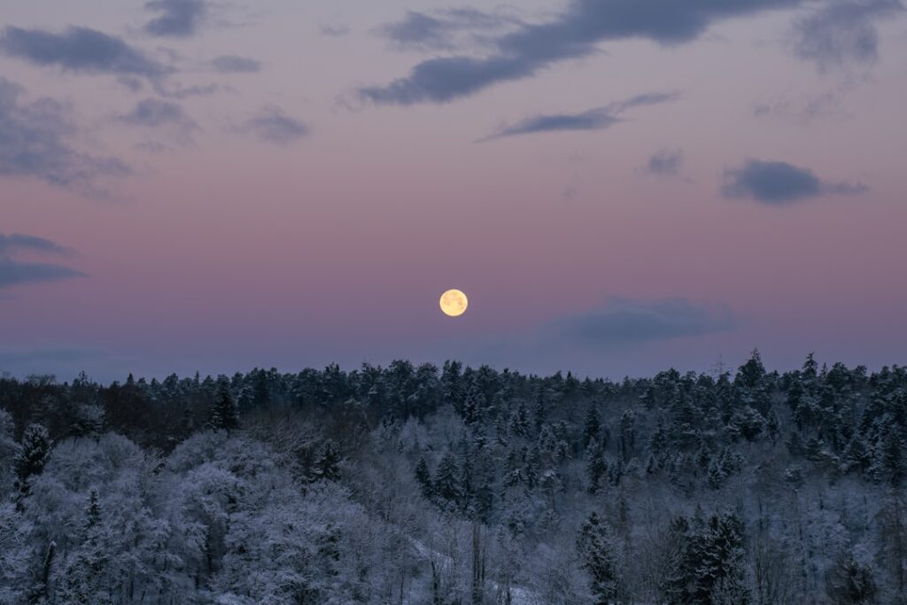 The February full moon is the Snow Moon on February 1