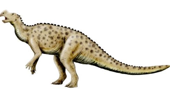 Muttaburrasaurus Langdoni: Here's What We Know