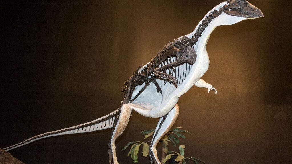 6 Dinosaurs That Lived in Idaho