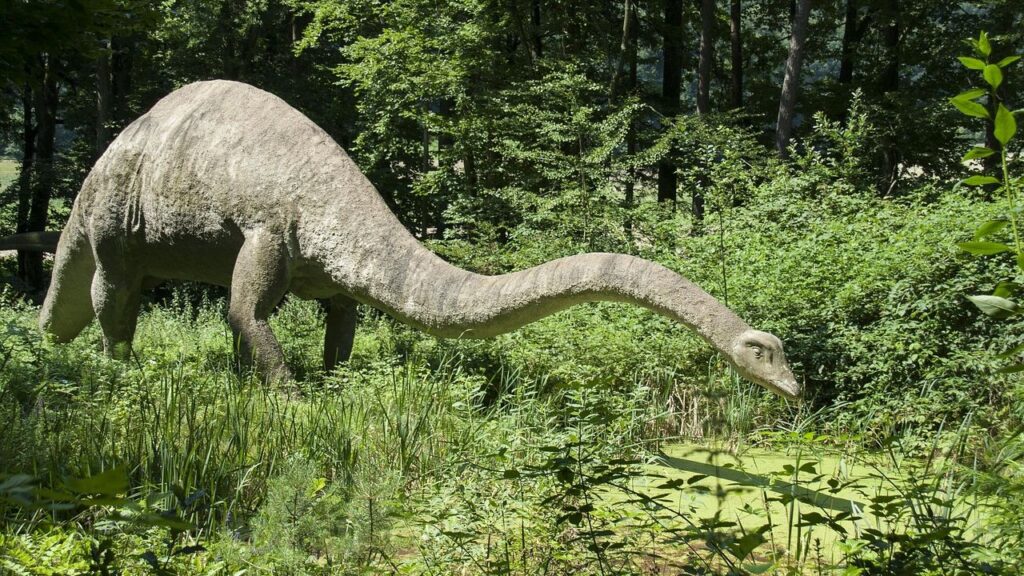 6 Herbivore Dinosaurs That Fed on Plants