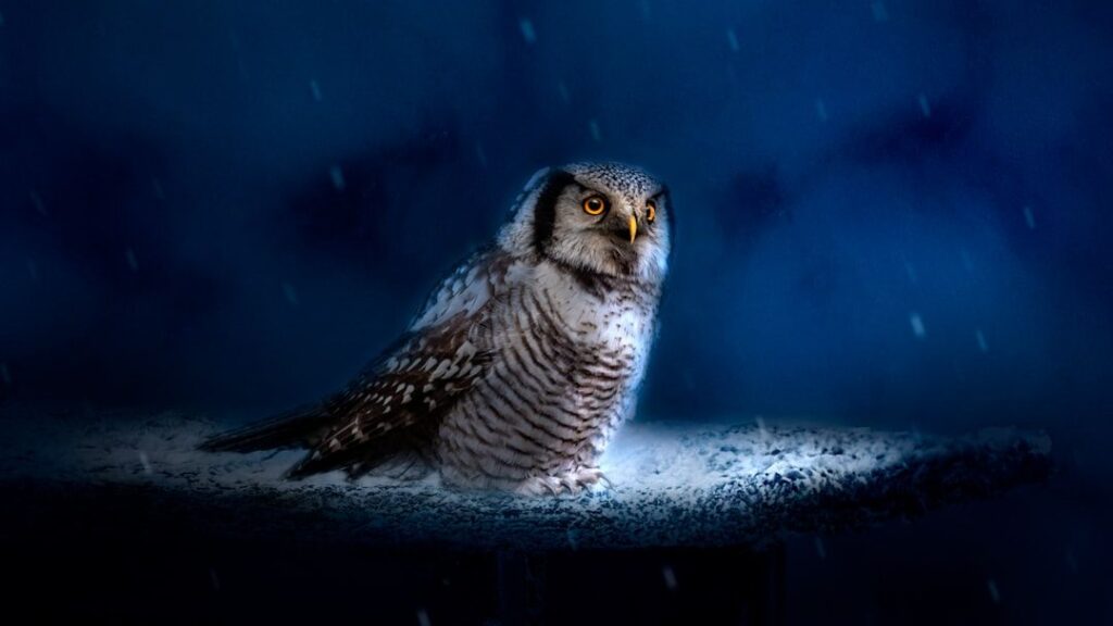 What Secret Powers Did Your Spirit Animal Bestow Upon You?