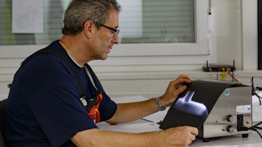 9 Habits of Highly Observant People (Like Top Paleontologists!)