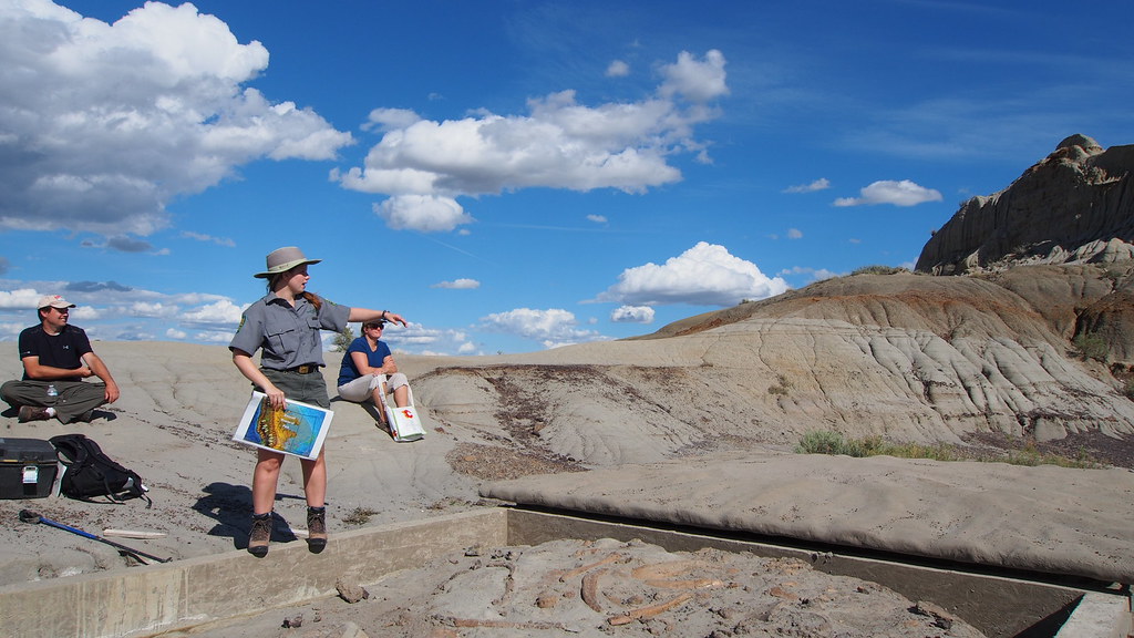 6 Ways to Cultivate the Patience of a Fossil Hunter