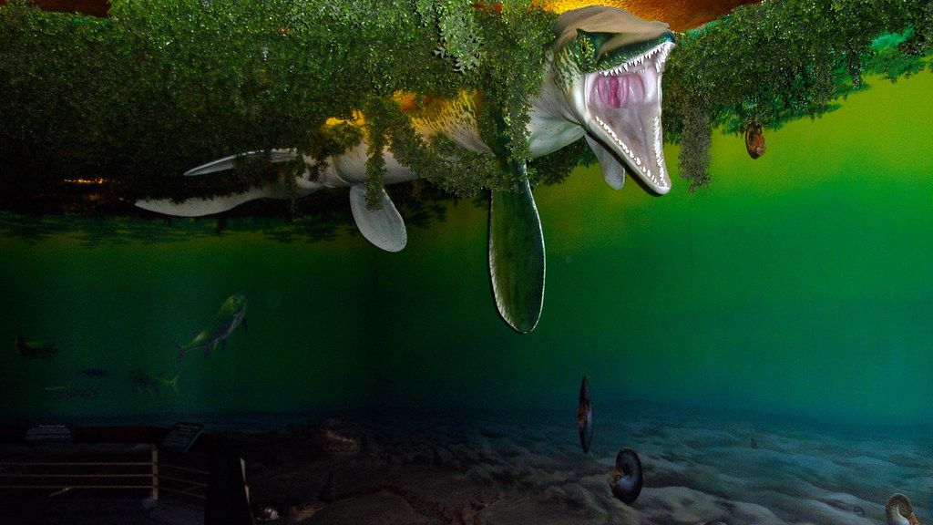 The Ancient Megafauna That Roamed California's Lost Seaways