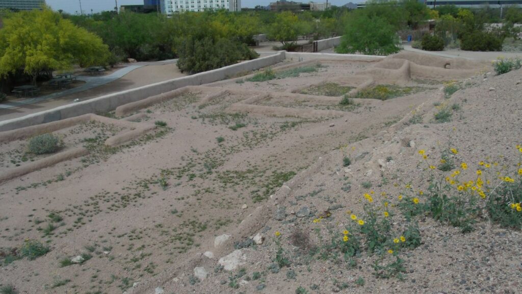 The Enduring Legacy of the Hohokam: Water Wisdom in the Sonoran Desert