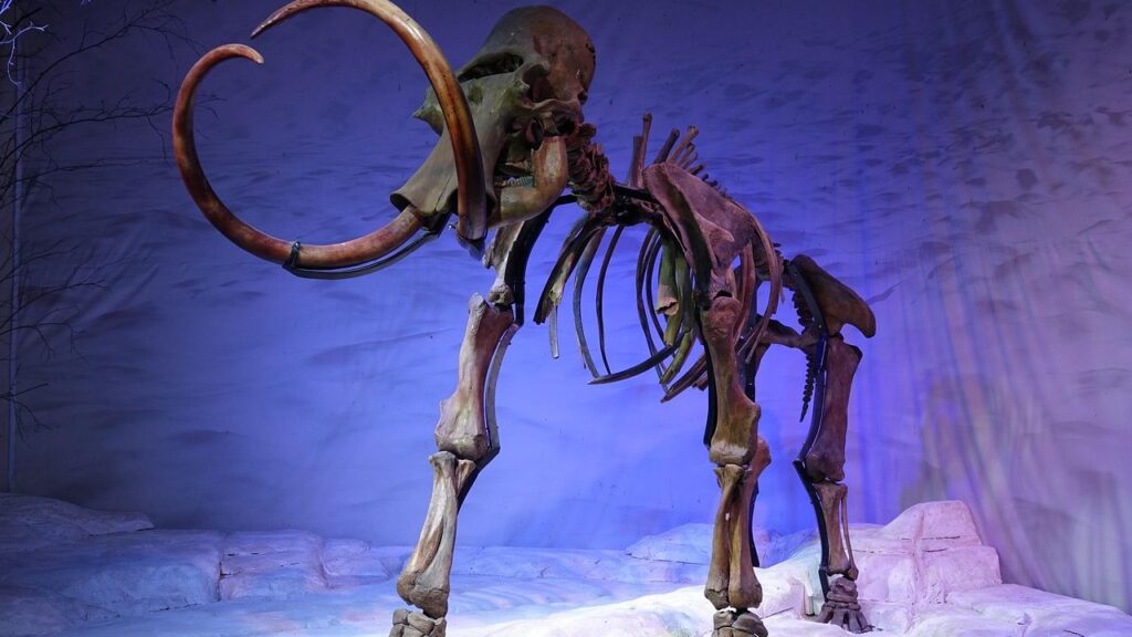 Florida's Mammoth Mystery: New Clues to the Sunshine State's Ice Age Giants